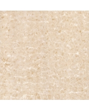 Granite Floor Tile TS2-606